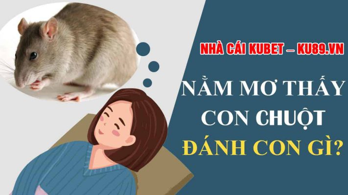 mơ thấy chuột đánh con gì