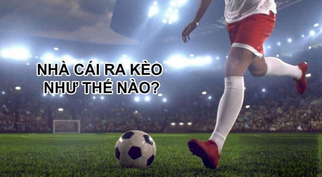 Cách nhà cái ra kèo