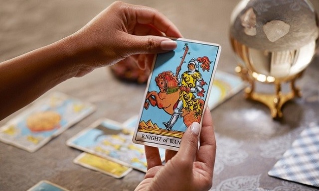Giải bài tarot hcm trực tuyến cho những ai quan tâm