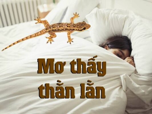 Nằm mơ thấy thằn lằn