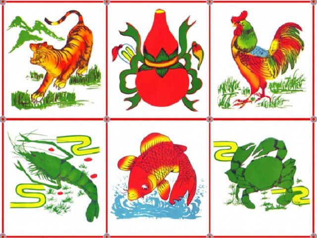 Chú ý khi chơi với cá, tôm cua mướp