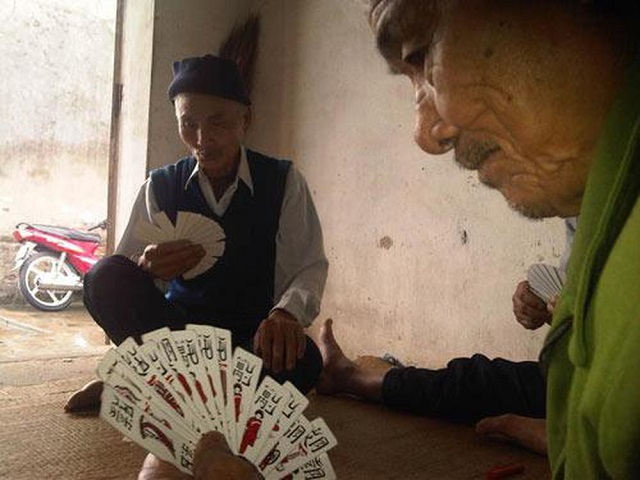 Tổ tôm