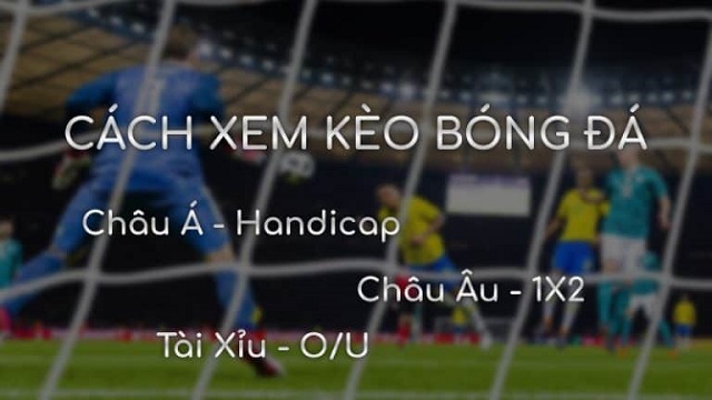 Tỷ lệ cá cược bóng đá giúp người chơi nhận định độ chính xác của kết quả
