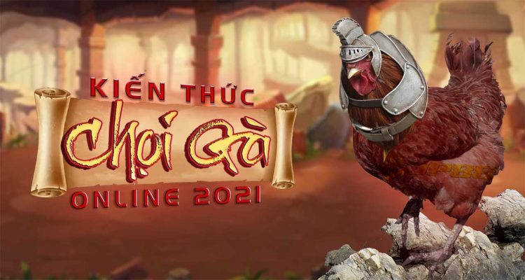chọi gà trực tuyến online
