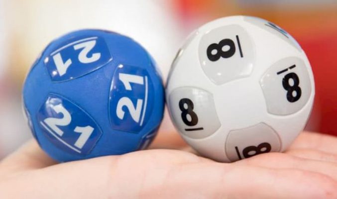 Nuôi Bạch Thủ vip là gì ?