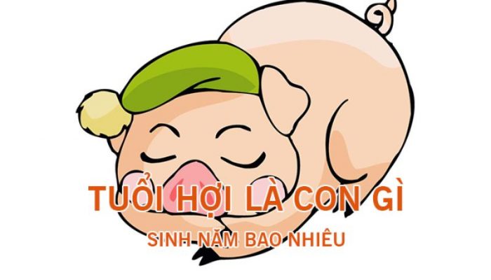 Những người sinh năm Hợi thường có tâm trạng vui vẻ. - Tuổi con heo