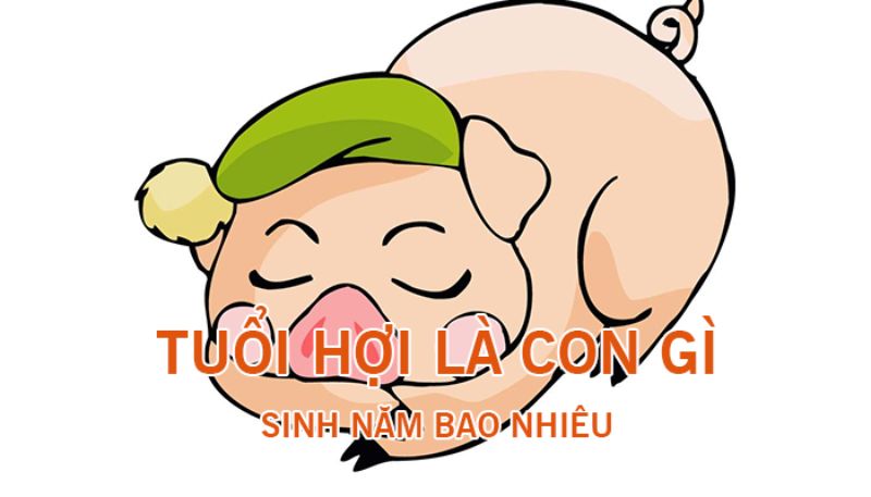 Những người sinh năm Hợi thường có tâm trạng vui vẻ. - Tuổi con heo