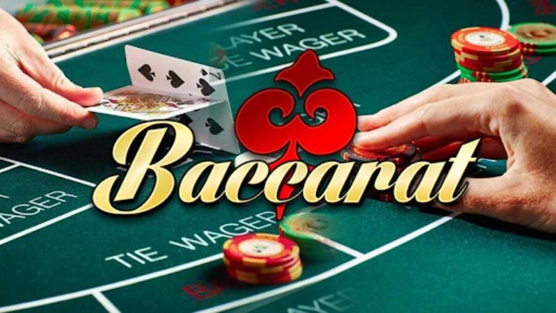 Kubet Kim - Đại lý chính thức của nhà mẫu uy tín hàng đầu Kubet