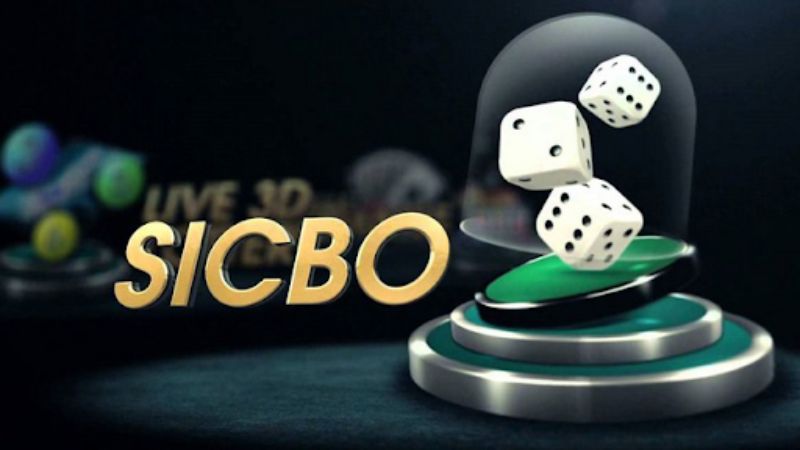 Kubet Kim - Đại lý chính thức của nhà dòng uy tín hàng đầu Kubet