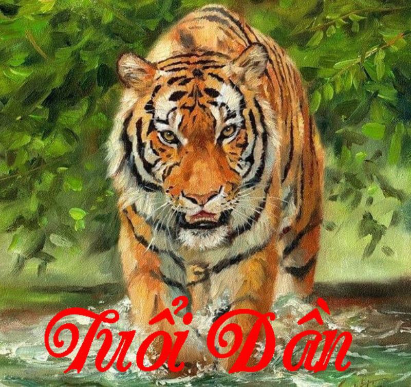 Cách tính con số chính xác của người sinh năm Dần không khó