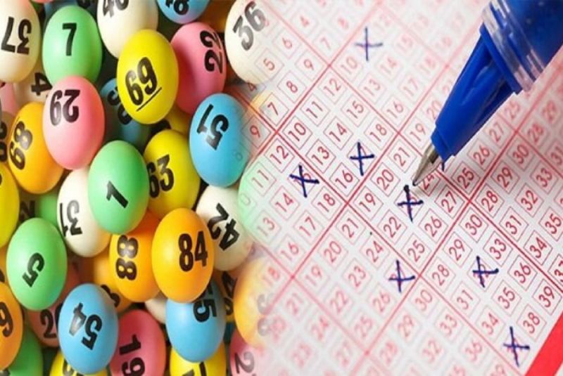 Chọn những con số may mắn cho những người sinh năm con chó