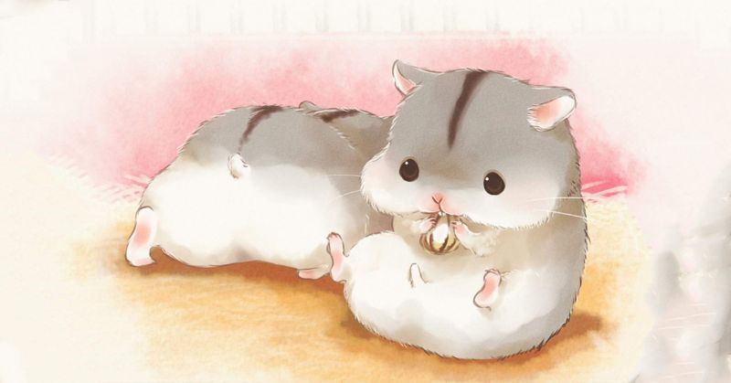 tuổi chồng trong mơ