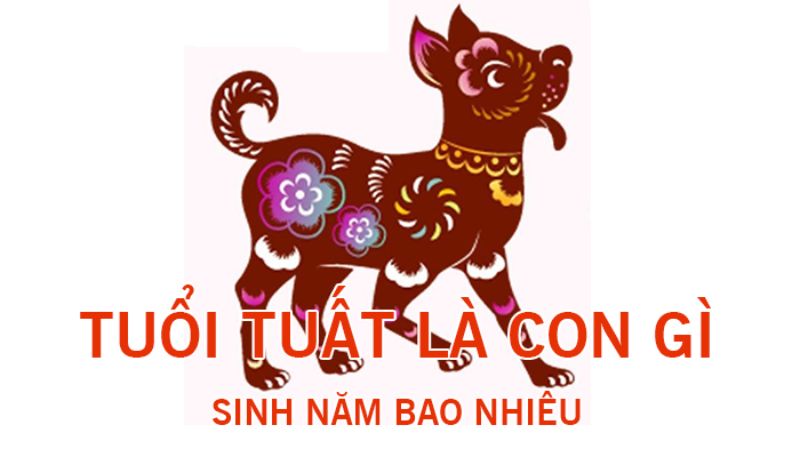 Theo quan niệm phương đông, tuổi con chó là một trong những cung hoàng đạo.