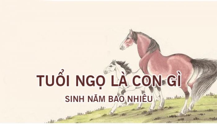 Năm con ngựa - tuổi ngọ