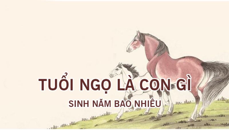 Năm con ngựa - tuổi ngọ