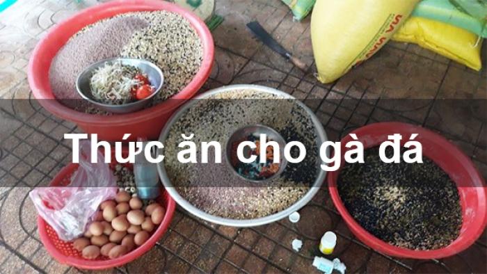 Tiết lộ top 8 công thức thức ăn ngon nhất cho gà chọi