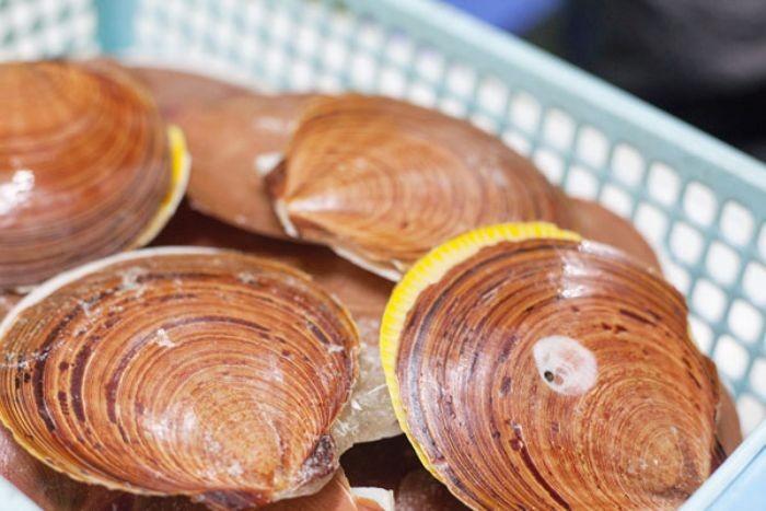 Nằm mơ thấy sò điệp đánh con gì lớn? 404986617