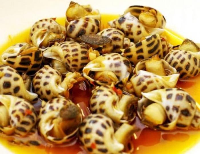Nằm mơ thấy con ốc đánh con gì? Sau giấc mơ này là điềm báo gì? 1680647761