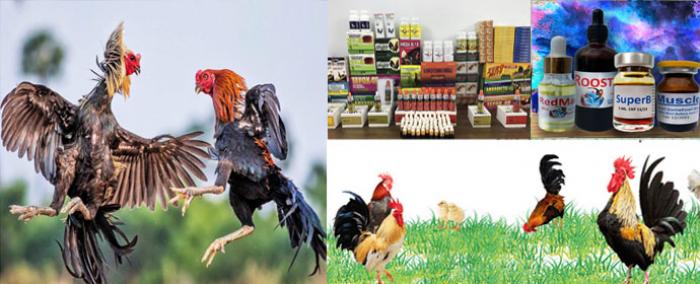 Tổng hợp các loại thuốc chống dâm hiệu quả nhất 1949255365