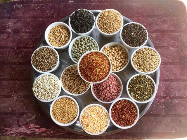 Tiết lộ top 8 công thức thức ăn ngon nhất cho gà chọi 739972883