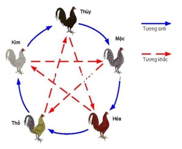 Cách xem màu hợp mạng tuổi dậu theo ngày? 1300815856