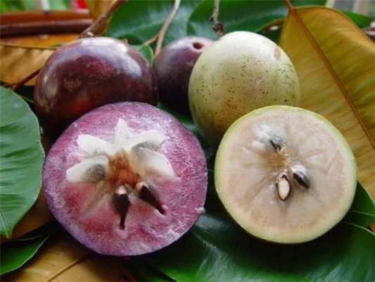 Bầu sữa mẹ là hình ảnh quen thuộc thường gặp trong giấc mơ của mọi người