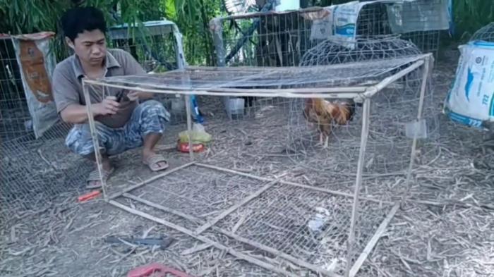 Hướng dẫn cách làm chuồng chạy tốt nhất cho gà chọi 1286777747