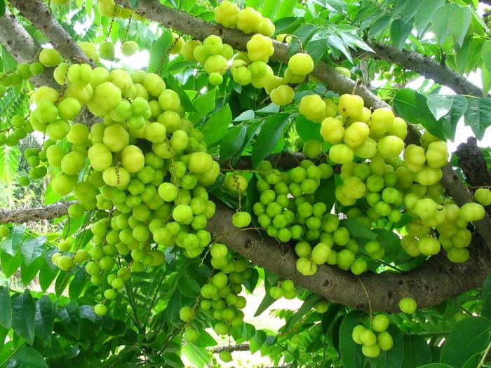 Nằm mơ thấy dây ruột đánh con gì, đánh lô đề con gì? 2063596442
