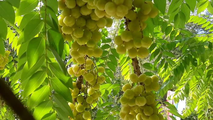 Nằm mơ thấy dây ruột đánh con gì, đánh lô đề con gì? 2063596442