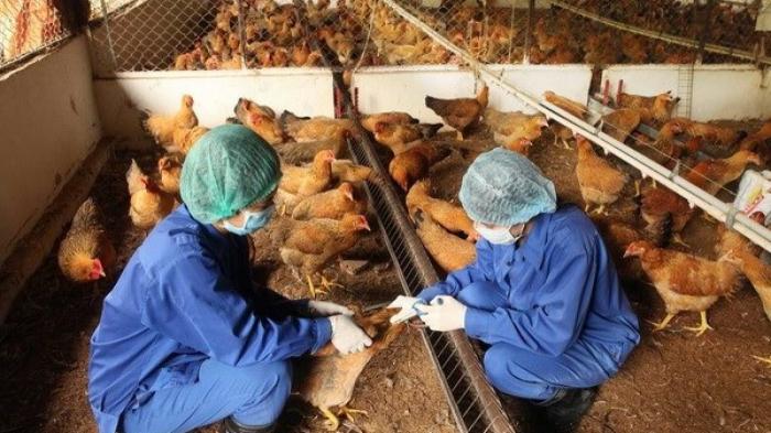 Hướng dẫn cách tiêm vắc xin thủy đậu chuẩn nhất