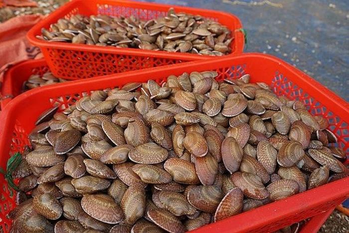 Nằm mơ thấy sò điệp đánh con gì lớn? 1793150329