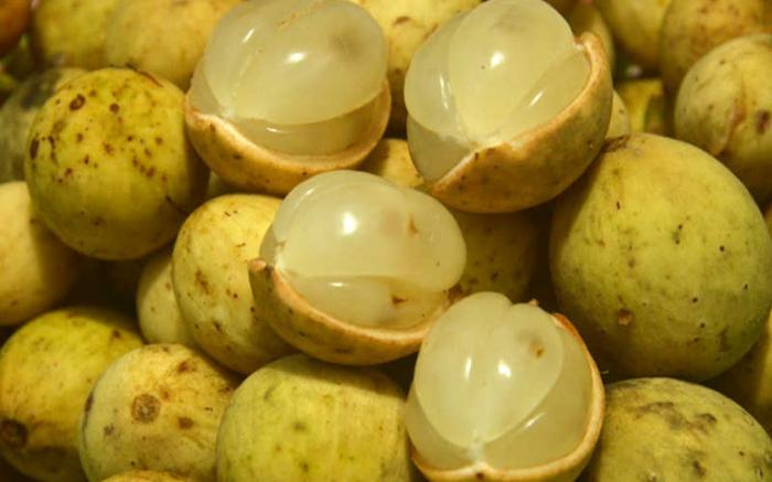 Nằm mơ thấy bon bon đánh con gì để thắng lớn?