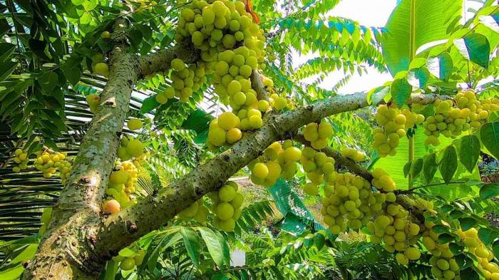 Nằm mơ thấy dây ruột đánh con gì, đánh lô đề con gì? 2063596442