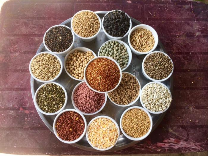 Hướng dẫn cách làm cốm tốt nhất cho gà chọi
