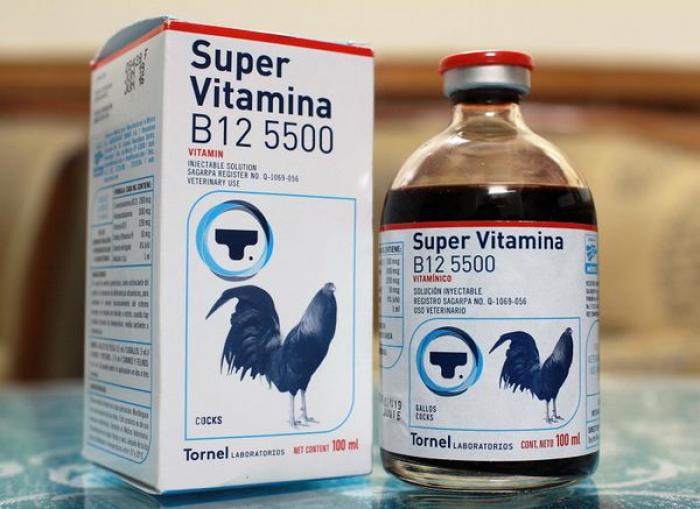 Thông tin thú vị về thuốc tiêm gián