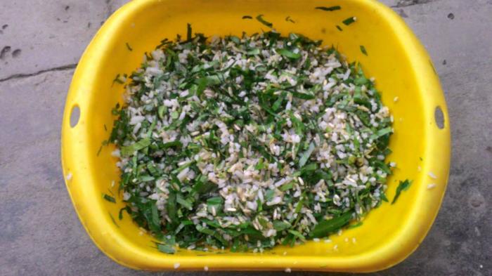 Khám phá 10 thức ăn tốt nhất cho gà