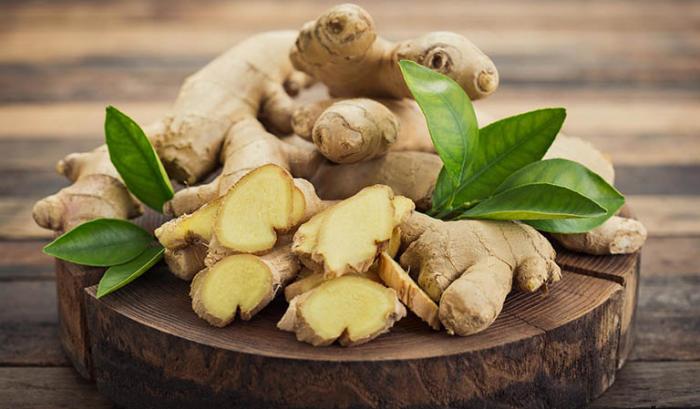 Khám phá 10 thức ăn tốt nhất cho gà