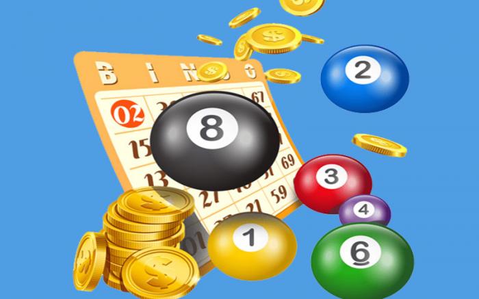 Tôi có nên nhân giống đại trà không? Tiết lộ kinh nghiệm trồng trọt bất khả chiến bại