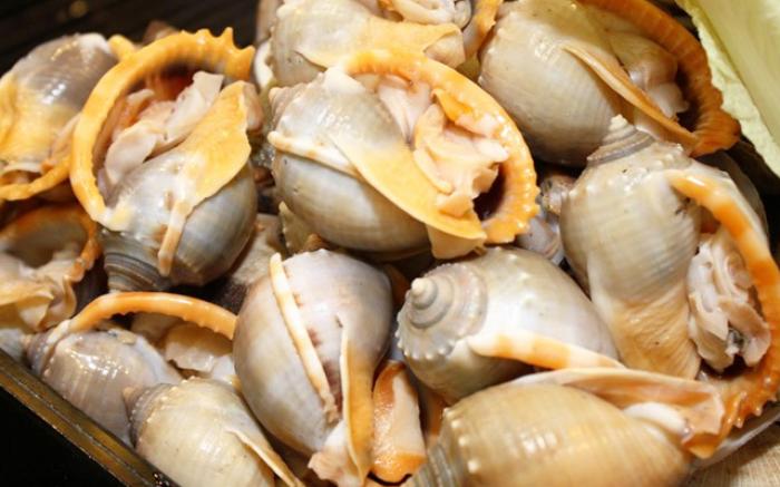 Nằm mơ thấy ốc tỏi đánh con gì lớn? 1246221874