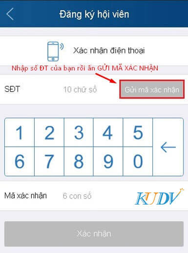 Đảm bảo rằng điện thoại của bạn đang chơi xúc xắc