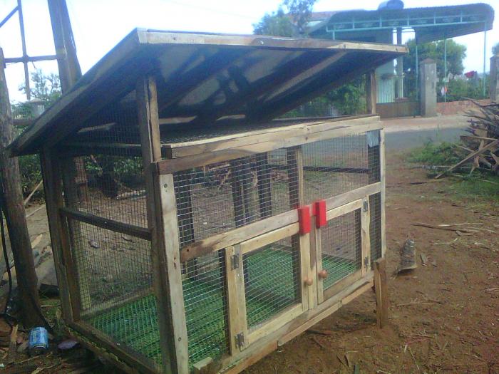 Hướng dẫn làm chuồng gà nhanh và đơn giản 