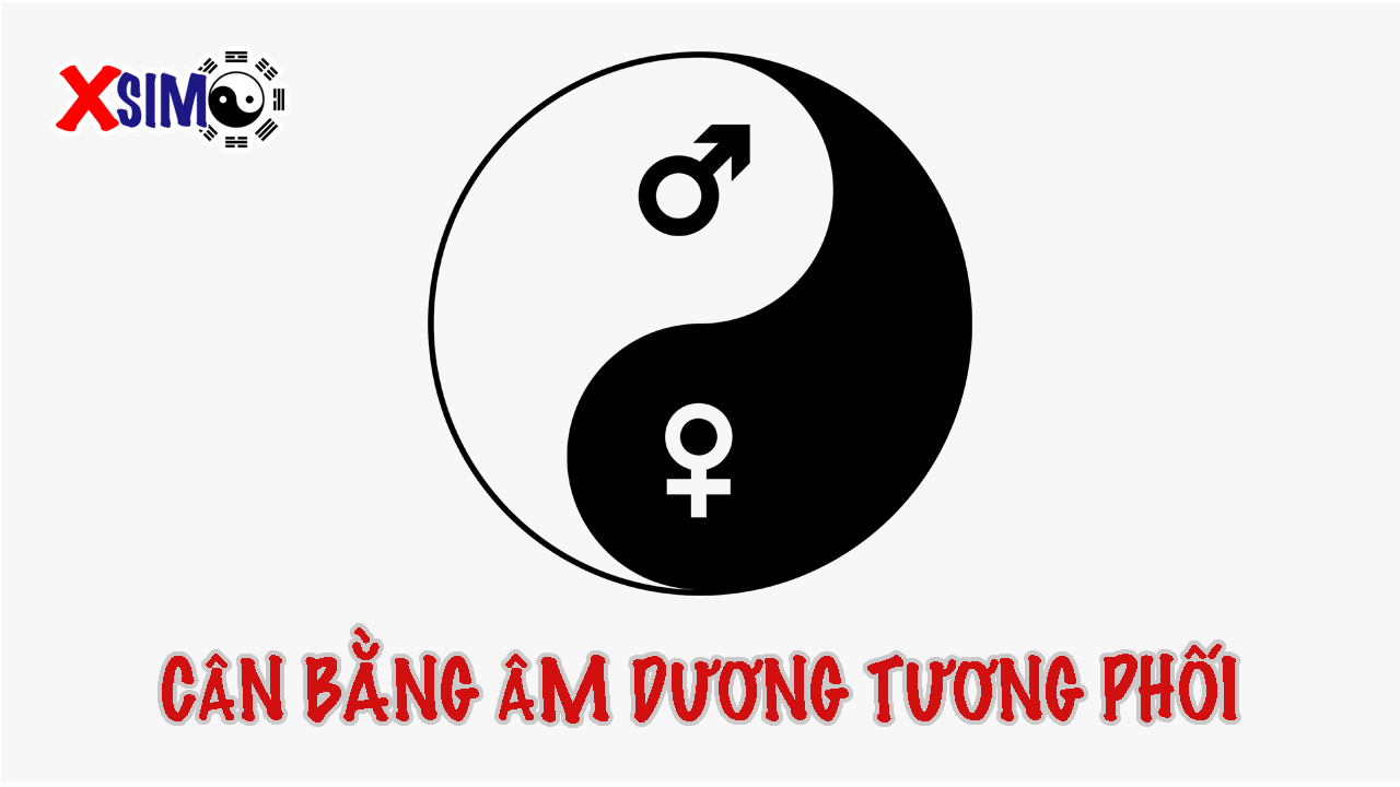 Sự hài hòa âm dương là một yếu tố quan trọng trong việc chọn một thầy phong thủy