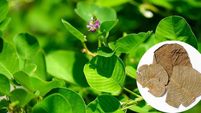 Nằm mơ thấy con bò tiền đánh con nào trúng số độc đắc?