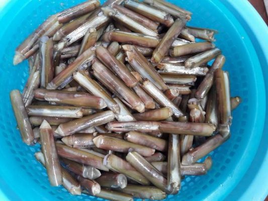 Nằm mơ thấy con ốc đánh con gì lớn