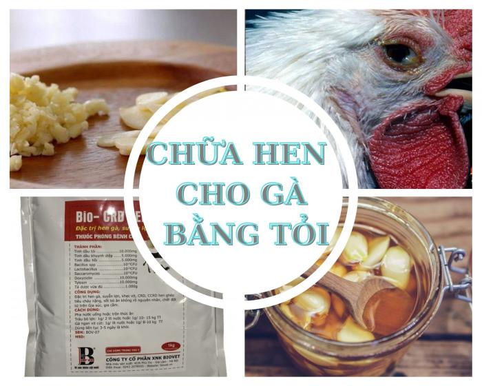 Hé lộ chi tiết cách chữa hen suyễn bằng tỏi