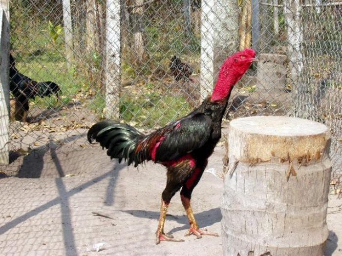 Tiết lộ cách phơi nắng hiệu quả nhất