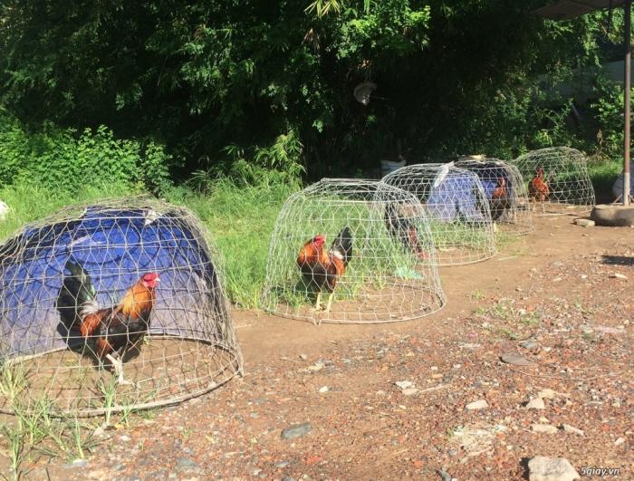 Tiết lộ cách phơi nắng hiệu quả nhất