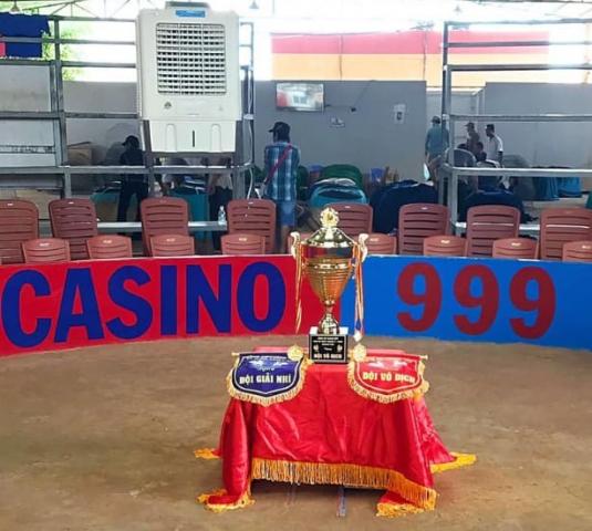 Thông tin thú vị về chọi gà trực tiếp 999