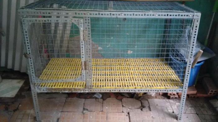 Cách làm chuồng gà bằng sắt đơn giản và nhanh chóng 516799278