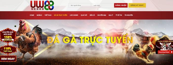 Tổng hợp 10 trang đá gà trực tuyến hay nhất